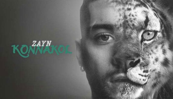 Zayn Malik gets brutally honest about career milestone