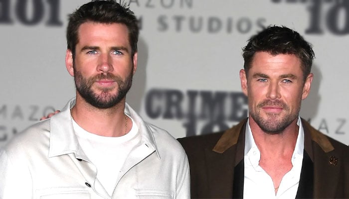 Liam, Chris Hemsworth make first red carpet appearance together in 6 months