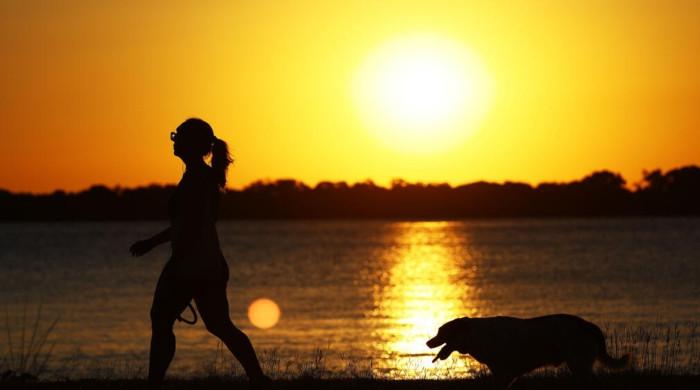 Till death do us bark: Brazilian state lets pets be buried with owners