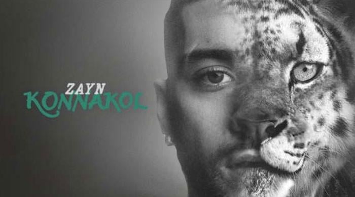 Zayn Malik gets brutally honest about career milestone