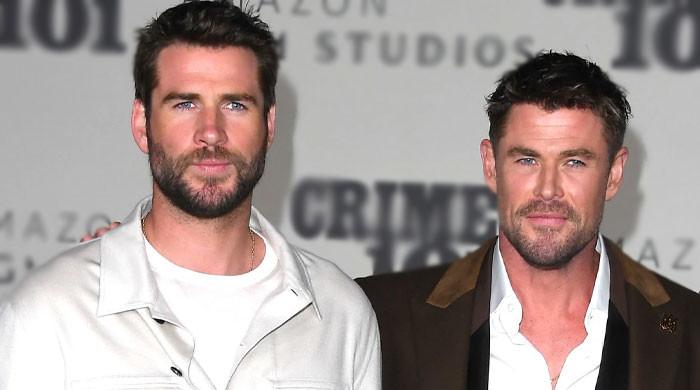 Liam, Chris Hemsworth make first red carpet appearance together in 6 months