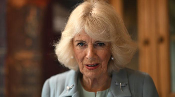 Queen Camilla steps up as senior royals give verdict on Epstein files
