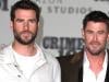 Liam, Chris Hemsworth make first red carpet appearance together in 6 months