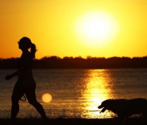 Till death do us bark: Brazilian state lets pets be buried with owners