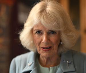Queen Camilla steps up as senior royals give verdict on Epstein files