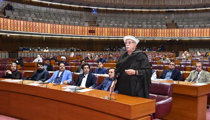 Leader of Opposition in National Assembly, Mahmood Khan Achakzai speaks during National Assembly session at Parliament House, Islamabad, February 11, 2026. — Facebook/@NationalAssemblyOfPakistan