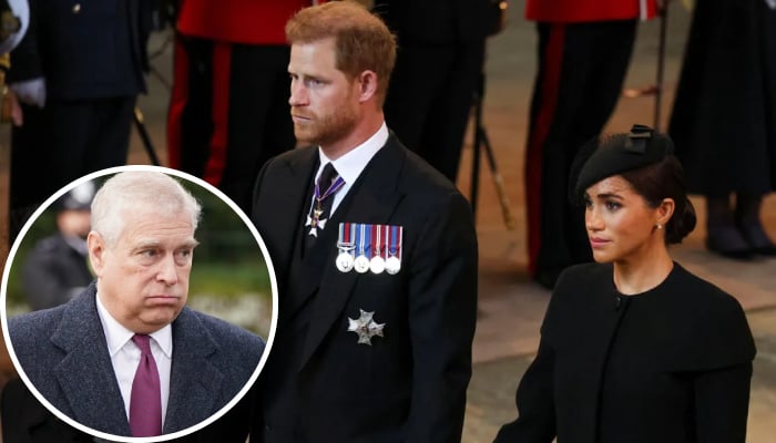Prince Harry, Meghan Markle demand immediate action amid Andrew probe