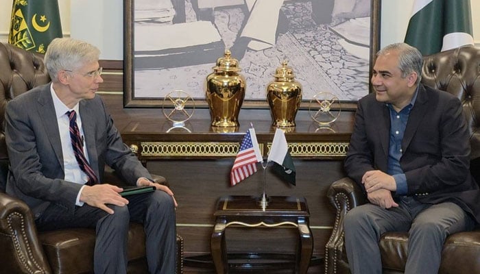 Interior Minister Mohsin Naqvi (right) meets US Assistant Secretary of State for South and Central Asian Affairs John Mark Pomeroy on February 12, 2026. — APP