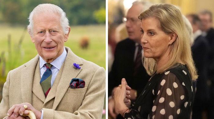 Duchess Sophie dutifully accepts King's orders as Andrew inquiry begins