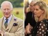 Duchess Sophie dutifully accepts King's orders as Andrew inquiry begins