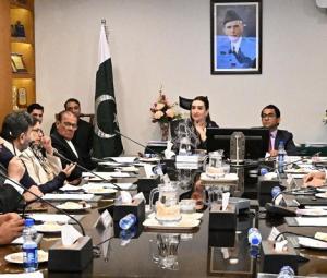 Senate panel declares PIFD meeting null and void for malafide intent, rule violations