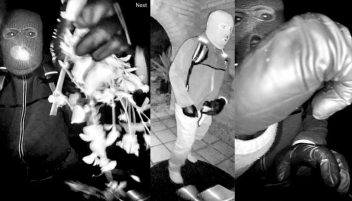 Who is Nancy Guthrie kidnapping suspect? FBI releases full physical description