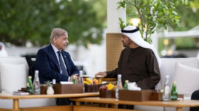 UAE rolls over $2bn loan to Pakistan ahead of IMF review