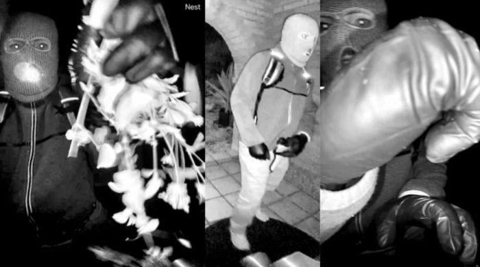 Who is Nancy Guthrie kidnapping suspect? FBI releases full physical description 