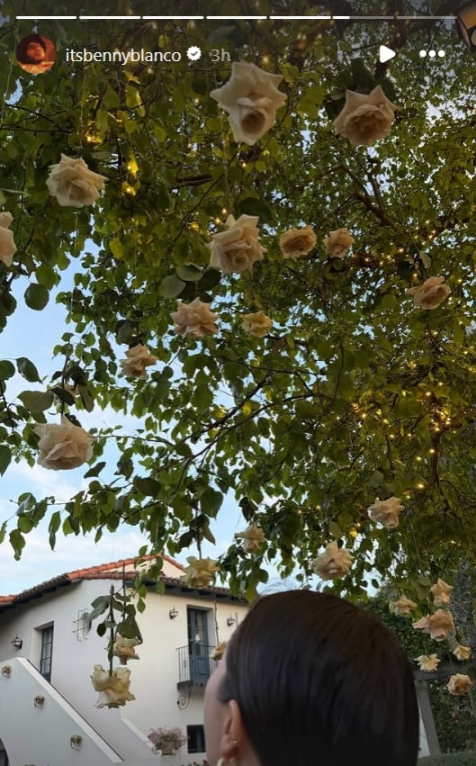 Selena Gomez, Benny Blanco flaunt intimate Valentines Day plans