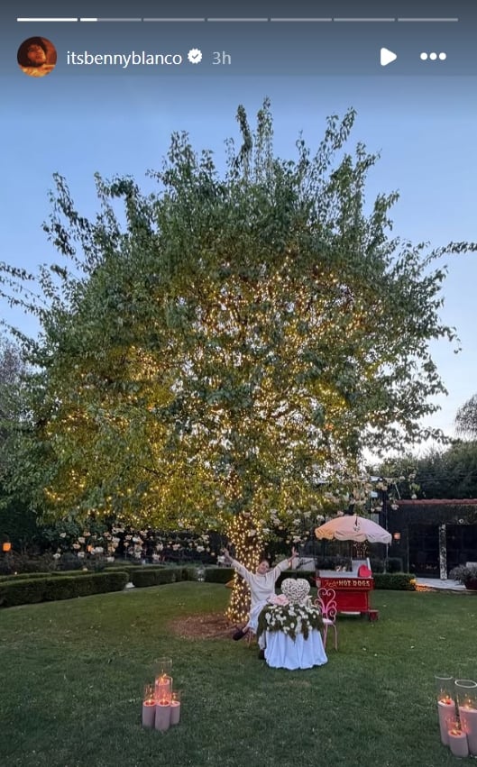 Selena Gomez, Benny Blanco flaunt intimate Valentines Day plans