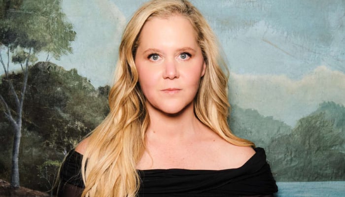 Amy Schumer rings in Valentines Day in unusual fashion after announcing divorce from Chris Fischer