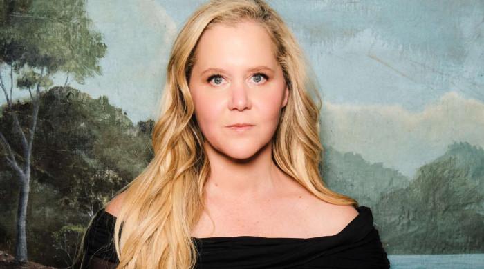 Amy Schumer preaches self-love on first Valentine's Day after divorce