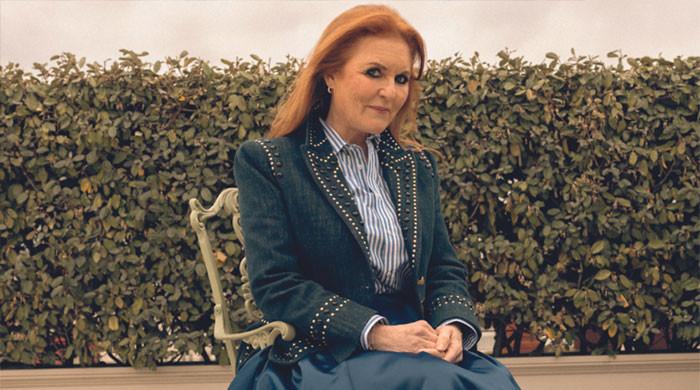 Sarah Ferguson angered Epstein by 'biting the hand that fed her'