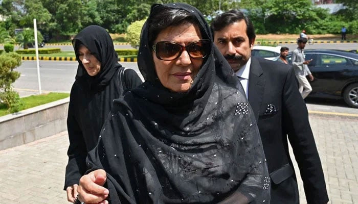 Court issues Aleema Khan's non-bailable arrest warrant over repeated ...