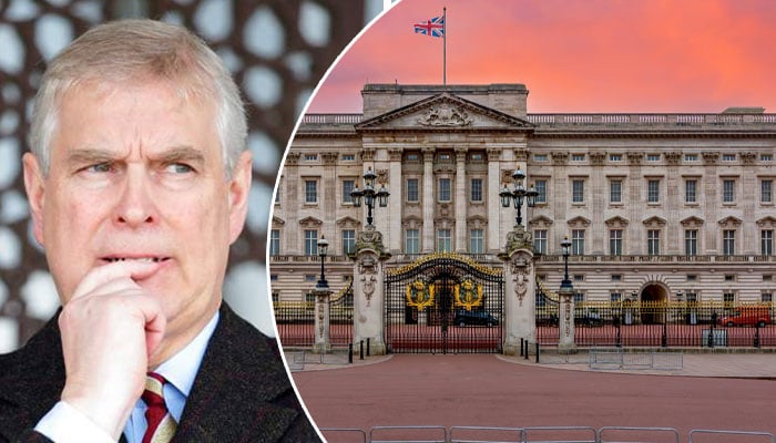 Andrew evidence mysteriously omitted: Palace ‘in action’ behind the doors