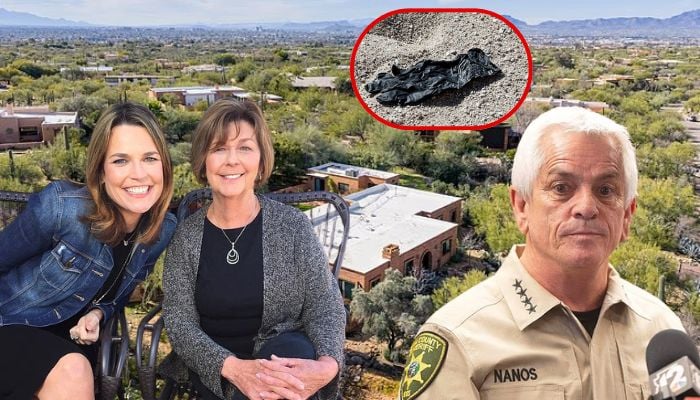 Digital forensics could break Nancy Guthrie case as new video gives Sheriff hope: Heres why