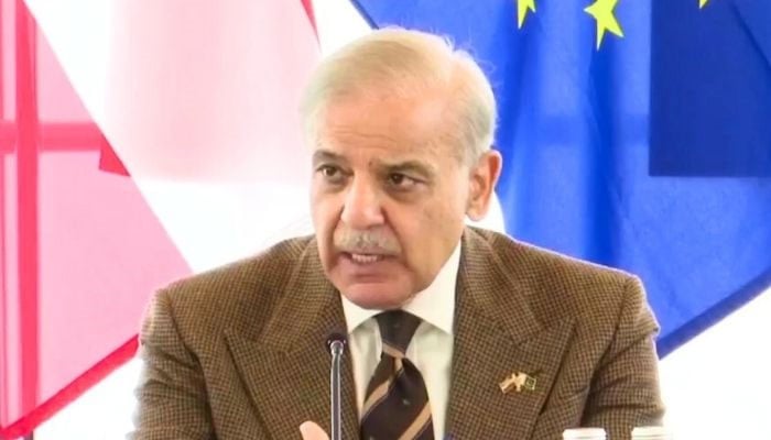 Prime Minister Shehbaz Sharif addresses Pakistan-Austria Business Forum in Vienna on January 16, 2026. — YouTube/Geo News/screengrab