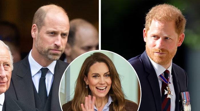 Princes William, Harry reconciliation: Truth behind Kate's peacemaker role