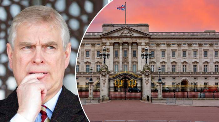 Andrew evidence mysteriously omitted: Palace ‘in action' behind the doors
