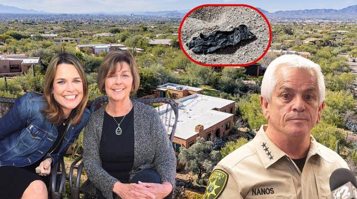 Digital forensics could break Nancy Guthrie case as new video gives Sheriff hope: Here's why