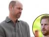 Prince William shocking plans for Harry as he ignores future King's 'consent'