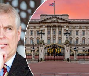 Andrew evidence mysteriously omitted: Palace ‘in action' behind the doors