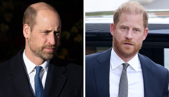 Prince Harry, Prince William physical fight: Surprising truth exposed