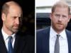 Prince Harry, Prince William physical fight: Surprising truth exposed