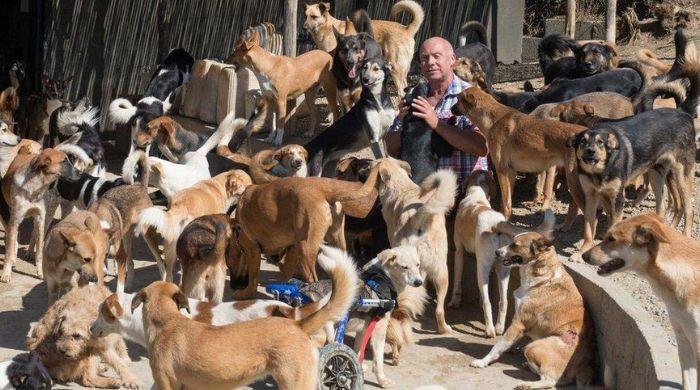 World Cup hosts accused of killing ‘3 million' stray dogs ahead of mega-event