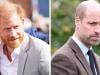 Prince Harry's secret move to reconcile with Prince William laid bare