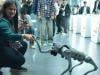 Indian university presents Chinese robot as its own at AI summit