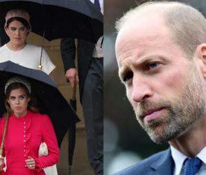 Beatrice, Eugenie step back from causing 'frenzy' after William's bold move