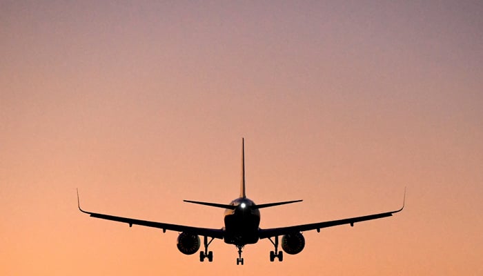 A passenger aircraft descends to land at an airport. — Reuters/File