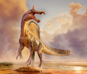 Fossils of a new species of huge dinosaur Spinosaurus unearthed in Niger