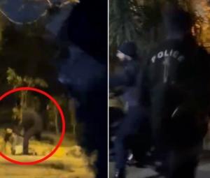 Islamabad police suspend Dolphin Squad officers over alleged assault on couple