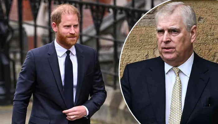 Prince Harry takes wise step as Andrew police probe stirs royal trouble