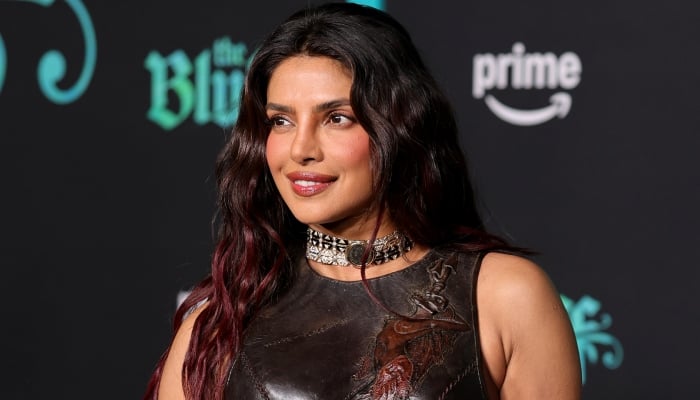 Priyanka Chopra out do Captain Hook? Check out who wore it better