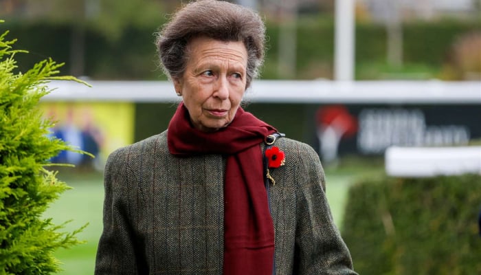 Royal family issues update on Princess Anne after heckling incident