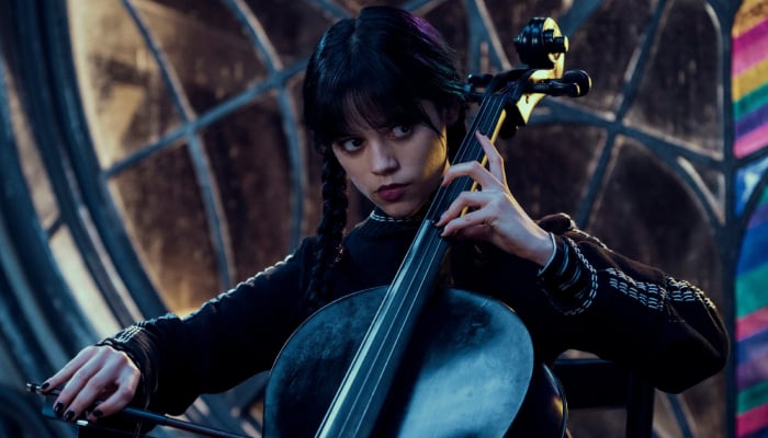 Wednesday cast announcement reveals major bombshell for viewers