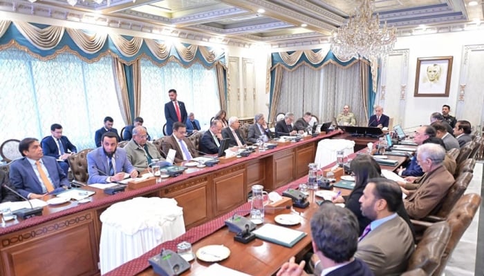 Prime Minister Shehbaz Sharif chairs the federal cabinet meeting in Islamabad: January 14, 2026. — APP