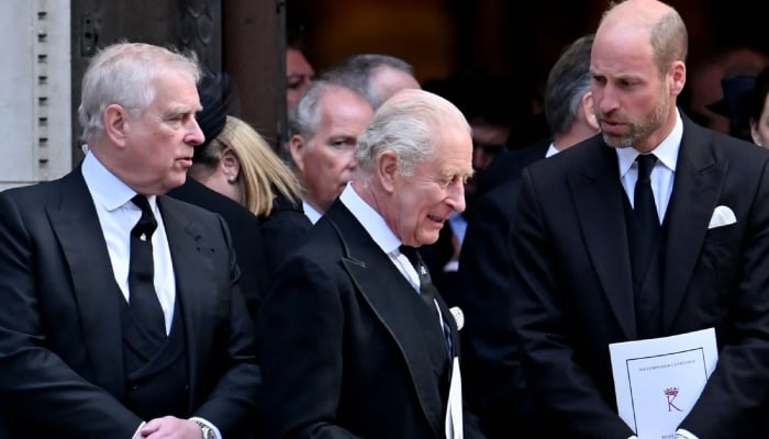 Buckingham Palace unexpected error comes to light amid Andrew probe