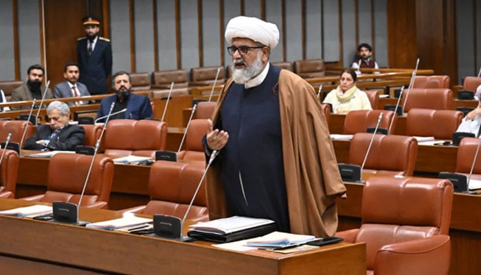 Opposition Leader in Senate Allama Raja Nasir Abbas adressing during session in this undated image. — Facebook@allamarajanasirmwm