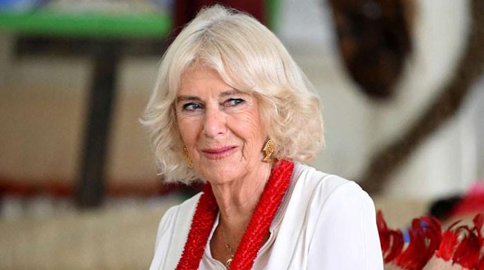 Queen Camilla's supporter makes surprising U-turn for royal family
