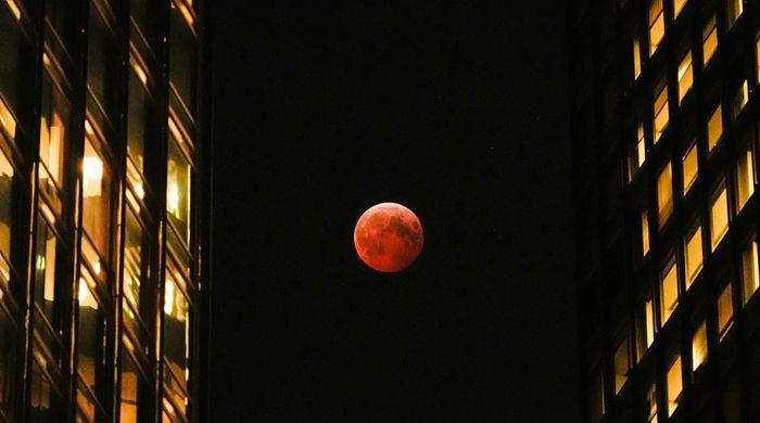 Everything you need to know about March's ‘Worm Blood Moon' eclipse